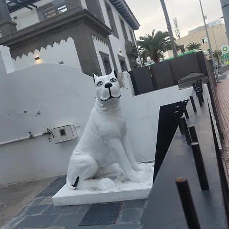 Sabinar Vivienda Estudio *